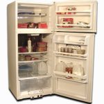 Food storage of the natural gas refrigerator EZ Freeze 15