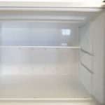 EZ Freeze 15 cubic foot natural gas refrigerator freezer interior